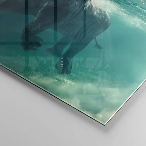 Cuadro sobre vidrio - Impresiones sobre Vidrio - A todos nos gusta nadar - 30x30 cm