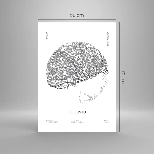 Cuadro sobre vidrio - Impresiones sobre Vidrio - Anatomía de Toronto - 50x70 cm