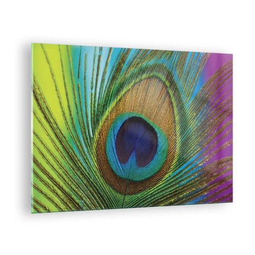 Cuadro sobre vidrio, Impresiones sobre Vidrio Arttor 70x50 cm - Cara a cara - Abstracción, Pluma De Pavo Real, Arte, Gráficos, Animales, Para el salón, Para el dormitorio, Negro, Púrpura, Horizontal, Vidrio, GAA70x50-4385