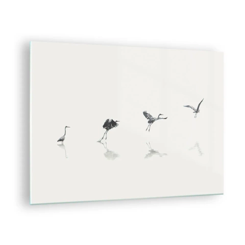 Cuadro sobre vidrio, Impresiones sobre Vidrio Arttor 70x50 cm - Cuatro sencillos pasos para despegar - Pájaro, Garza, Gráficos, Naturaleza, Vuelo, Para el salón, Para el dormitorio, Blanco, Negro, Horizontal, Vidrio, GAA70x50-5096