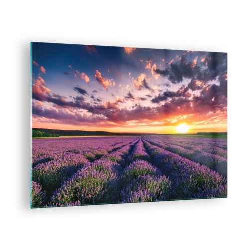 Cuadro sobre vidrio, Impresiones sobre Vidrio Arttor 70x50 cm - El mundo de la lavanda - Paisaje, Campo De Lavanda, Lavanda, El Atardecer, Naturaleza, Para el salón, Para el dormitorio, Púrpura, Verde, Horizontal, Vidrio, GAA70x50-3816