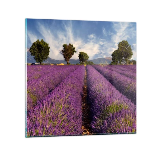 Cuadro sobre vidrio - Impresiones sobre Vidrio - Campos de lavanda - 30x30 cm