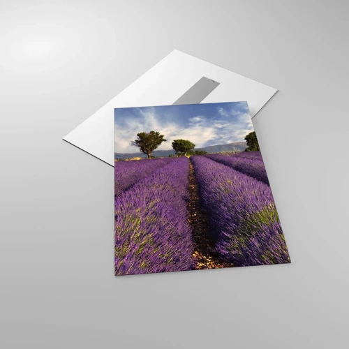 Cuadro sobre vidrio - Impresiones sobre Vidrio - Campos de lavanda - 50x70 cm