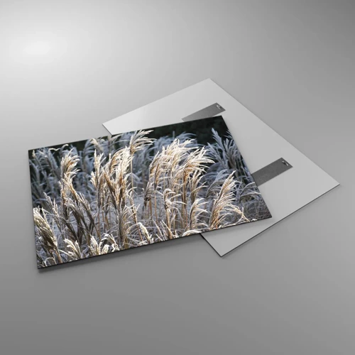 Cuadro sobre vidrio - Impresiones sobre Vidrio - Campos y campos - 100x70 cm