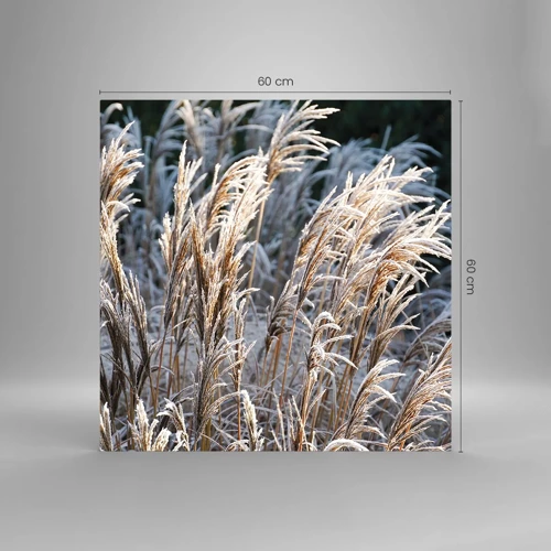 Cuadro sobre vidrio - Impresiones sobre Vidrio - Campos y campos - 60x60 cm