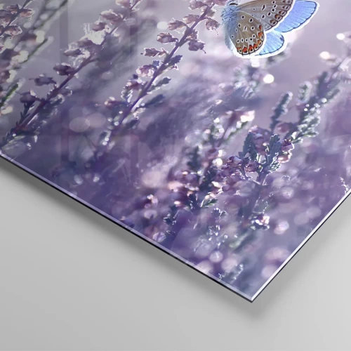 Cuadro sobre vidrio - Impresiones sobre Vidrio - El beso de una mariposa - 120x80 cm