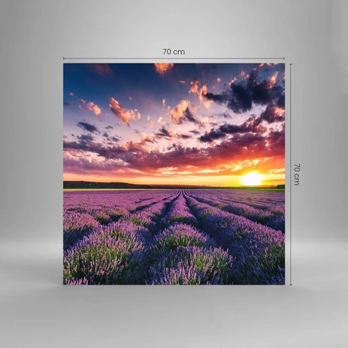 Cuadro sobre vidrio - Impresiones sobre Vidrio - El mundo de la lavanda - 70x70 cm