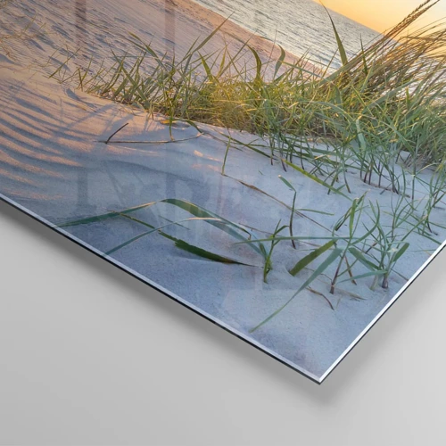 Cuadro sobre vidrio - Impresiones sobre Vidrio - El sonido del mar, el canto de los pájaros, una playa virgen entre las dunas... - 40x40 cm