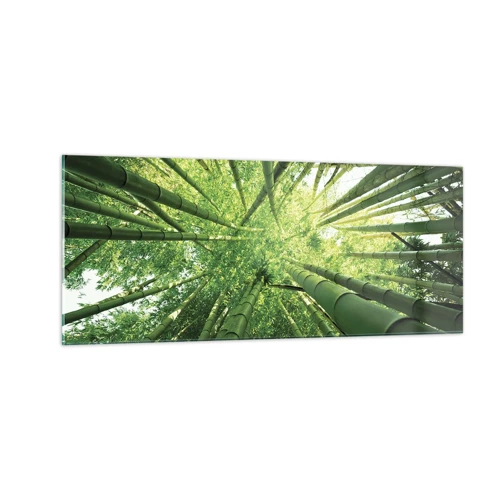 Cuadro sobre vidrio - Impresiones sobre Vidrio - En un bosquecillo de bambú - 100x40 cm