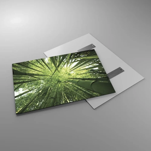 Cuadro sobre vidrio - Impresiones sobre Vidrio - En un bosquecillo de bambú - 100x70 cm