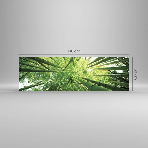 Cuadro sobre vidrio - Impresiones sobre Vidrio - En un bosquecillo de bambú - 160x50 cm