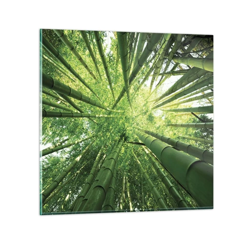 Cuadro sobre vidrio - Impresiones sobre Vidrio - En un bosquecillo de bambú - 50x50 cm