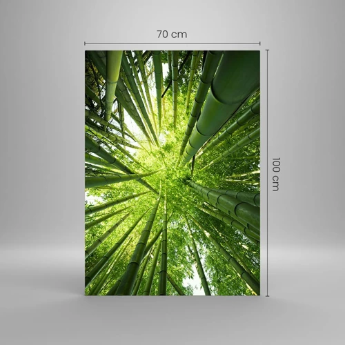 Cuadro sobre vidrio - Impresiones sobre Vidrio - En un bosquecillo de bambú - 70x100 cm