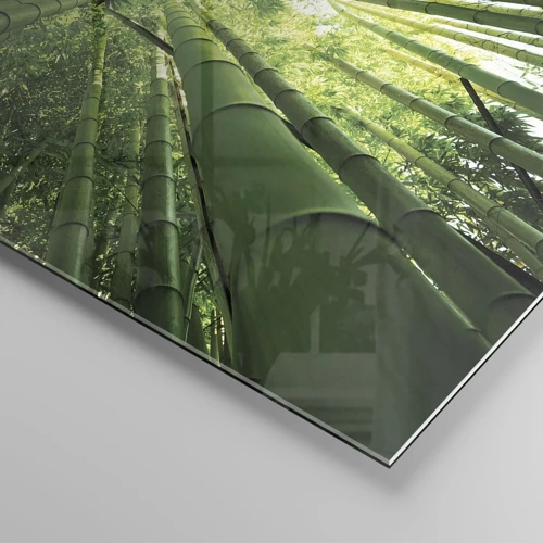 Cuadro sobre vidrio - Impresiones sobre Vidrio - En un bosquecillo de bambú - 70x50 cm