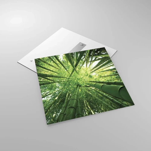 Cuadro sobre vidrio - Impresiones sobre Vidrio - En un bosquecillo de bambú - 70x70 cm