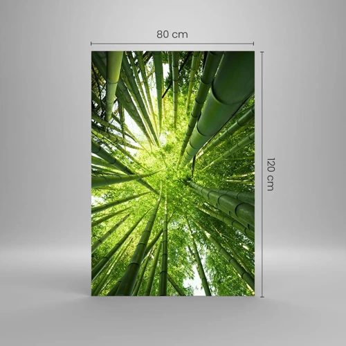 Cuadro sobre vidrio - Impresiones sobre Vidrio - En un bosquecillo de bambú - 80x120 cm