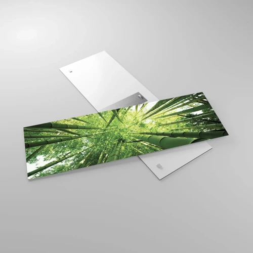 Cuadro sobre vidrio - Impresiones sobre Vidrio - En un bosquecillo de bambú - 90x30 cm