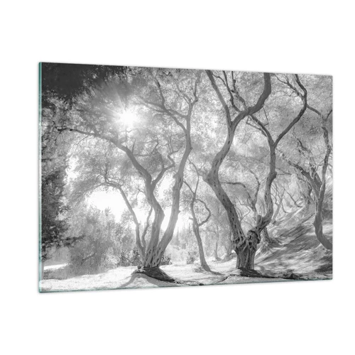 Cuadro sobre vidrio - Impresiones sobre Vidrio - En un olivar - 120x80 cm