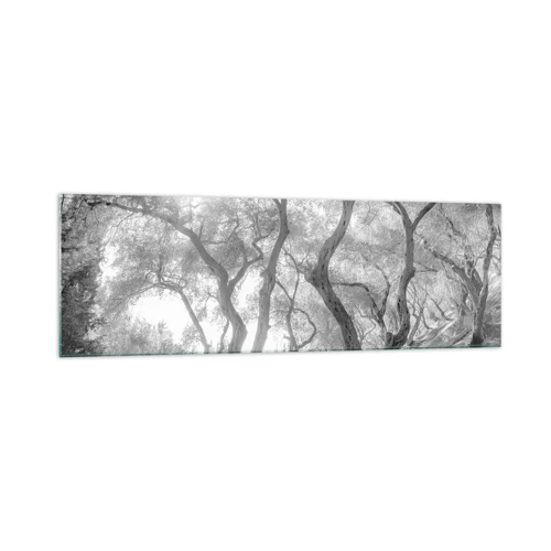 Cuadro sobre vidrio - Impresiones sobre Vidrio - En un olivar - 160x50 cm