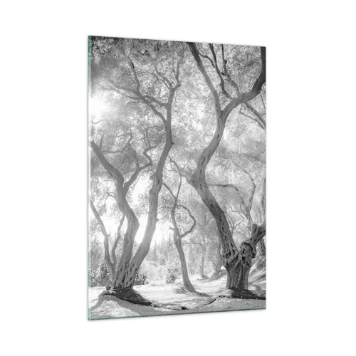 Cuadro sobre vidrio - Impresiones sobre Vidrio - En un olivar - 50x70 cm