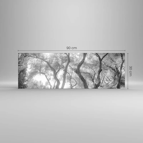 Cuadro sobre vidrio - Impresiones sobre Vidrio - En un olivar - 90x30 cm