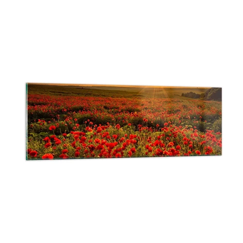 Cuadro sobre vidrio - Impresiones sobre Vidrio - Entre los campos de flores - 90x30 cm