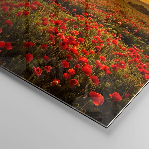 Cuadro sobre vidrio - Impresiones sobre Vidrio - Entre los campos de flores - 90x30 cm