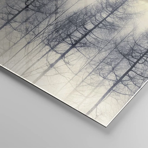 Cuadro sobre vidrio - Impresiones sobre Vidrio - Espíritus del bosque - 30x30 cm