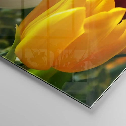 Cuadro sobre vidrio - Impresiones sobre Vidrio - Fiebre del tulipán - 120x50 cm