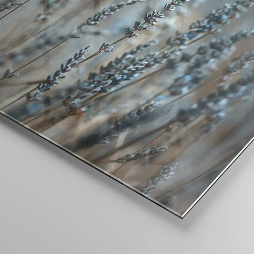 Cuadro sobre vidrio - Impresiones sobre Vidrio - Fragante pasto - 30x30 cm