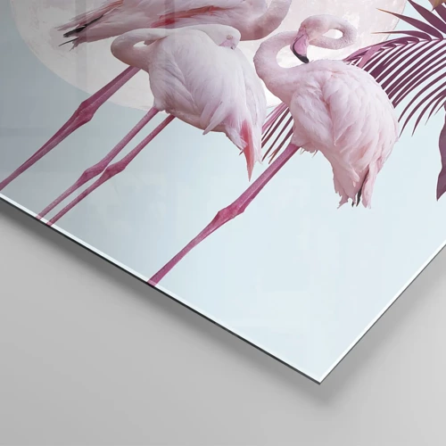 Cuadro sobre vidrio - Impresiones sobre Vidrio - La grandeza de las aves - 60x60 cm