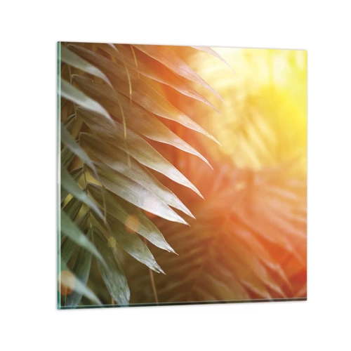 Cuadro sobre vidrio - Impresiones sobre Vidrio - Mañana en la selva - 30x30 cm