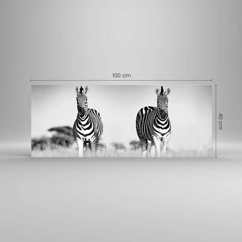 Cuadro sobre vidrio - Impresiones sobre Vidrio - Resulta que el mundo es blanco y negro - 100x40 cm