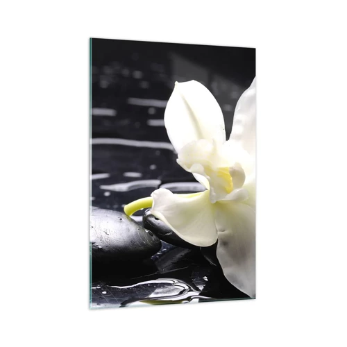 Cuadro sobre vidrio - Impresiones sobre Vidrio - Un estudio en blanco y negro - 70x100 cm