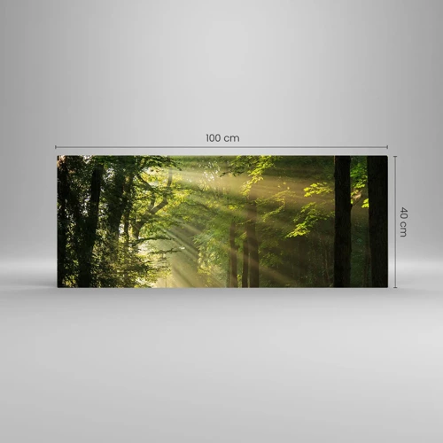 Cuadro sobre vidrio - Impresiones sobre Vidrio - Un momento en el bosque - 100x40 cm
