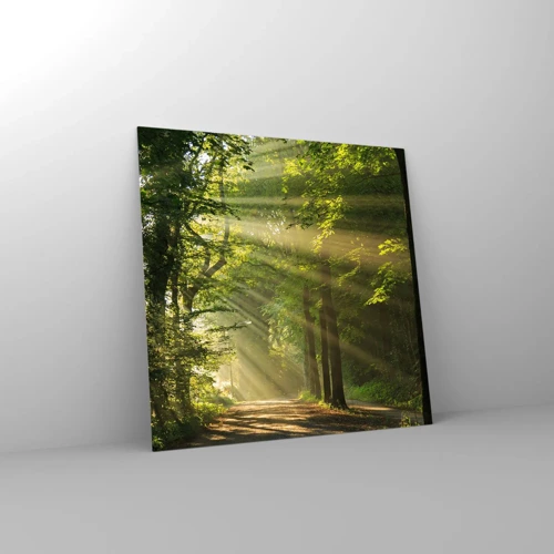Cuadro sobre vidrio - Impresiones sobre Vidrio - Un momento en el bosque - 50x50 cm