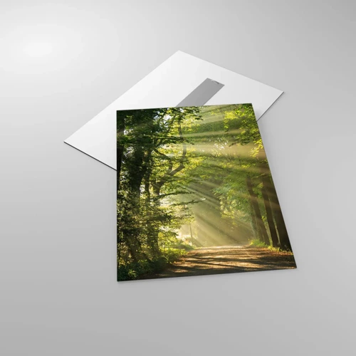 Cuadro sobre vidrio - Impresiones sobre Vidrio - Un momento en el bosque - 50x70 cm