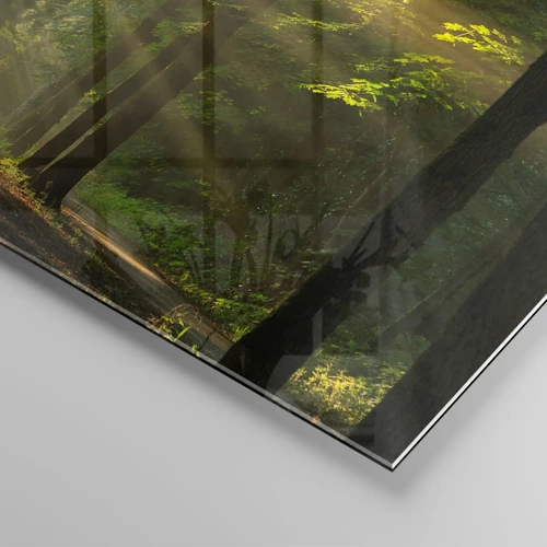 Cuadro sobre vidrio - Impresiones sobre Vidrio - Un momento en el bosque - 60x60 cm