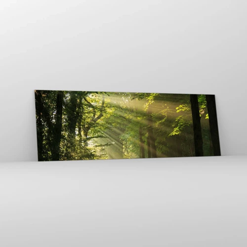 Cuadro sobre vidrio - Impresiones sobre Vidrio - Un momento en el bosque - 90x30 cm