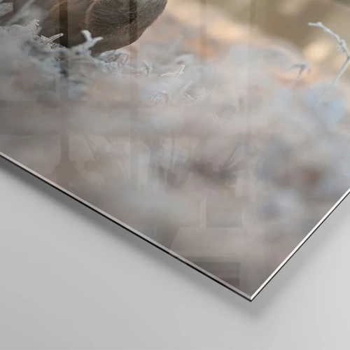 Cuadro sobre vidrio - Impresiones sobre Vidrio - Una mañana fresca - 120x80 cm