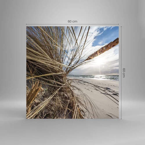 Cuadro sobre vidrio - Impresiones sobre Vidrio - Una reunión de los elementos - 60x60 cm