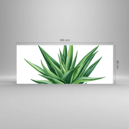 Cuadro sobre vidrio - Impresiones sobre Vidrio - Verde - fuerza - vida - 100x40 cm