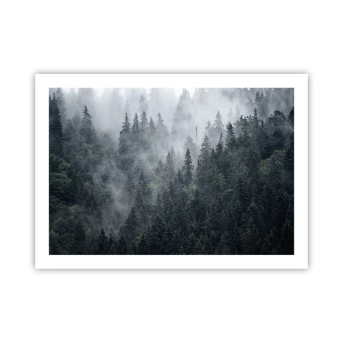 Póster - Amanecer en el bosque - 70x50 cm