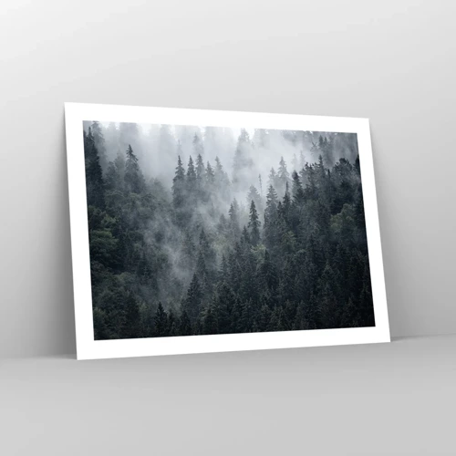Póster - Amanecer en el bosque - 70x50 cm