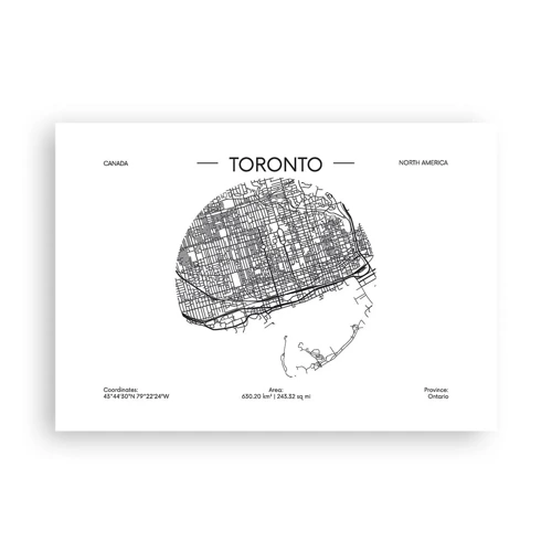 Póster - Anatomía de Toronto - 100x70 cm