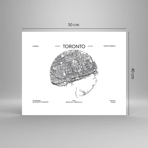 Póster - Anatomía de Toronto - 50x40 cm