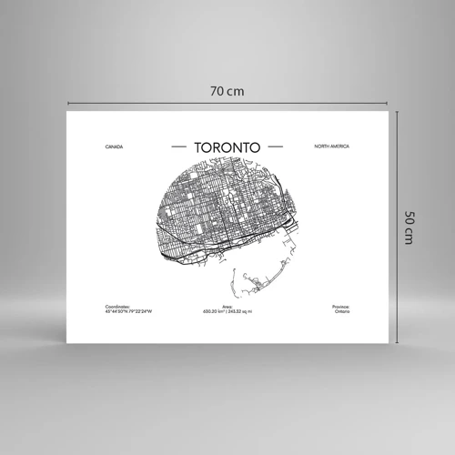 Póster - Anatomía de Toronto - 70x50 cm