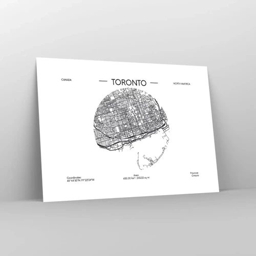 Póster - Anatomía de Toronto - 70x50 cm