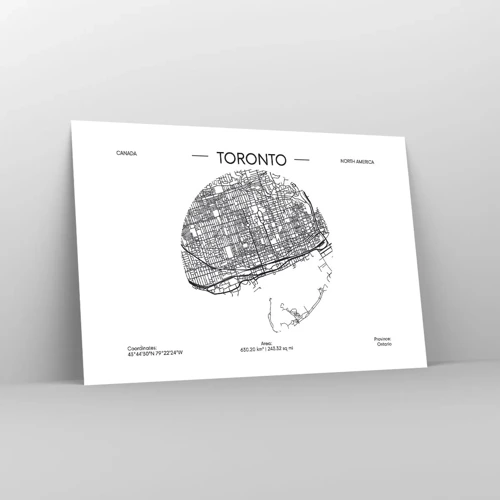 Póster - Anatomía de Toronto - 91x61 cm