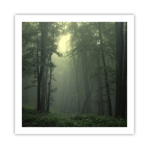 Póster - Antes de que se despierte el bosque - 60x60 cm